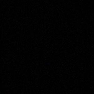 Meet your Posher, Ty